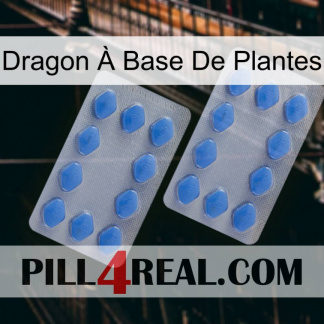 Dragon À Base De Plantes 20